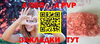 сатива Кингисепп