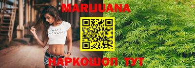 сатива Кингисепп