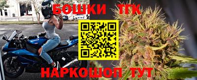 сатива Кингисепп