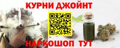 сатива Кингисепп
