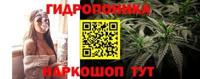 ALPHA PVP Кинель