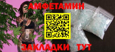 сатива Кингисепп