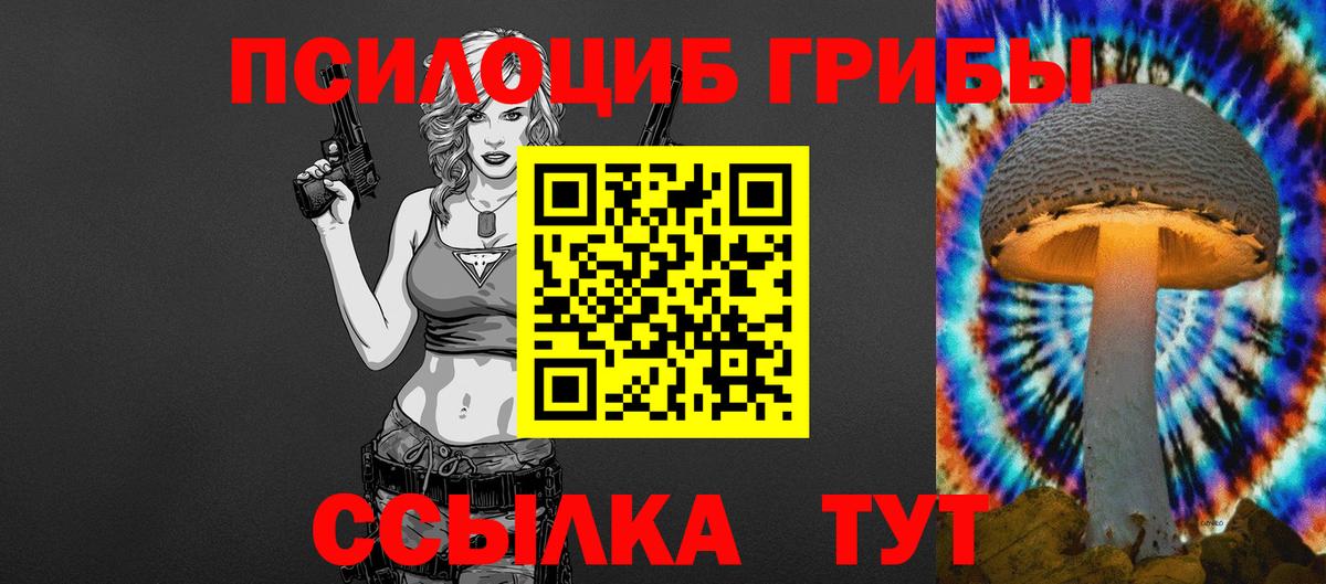 Псилоцибиновые грибы Psilocybine cubensis Кулебаки