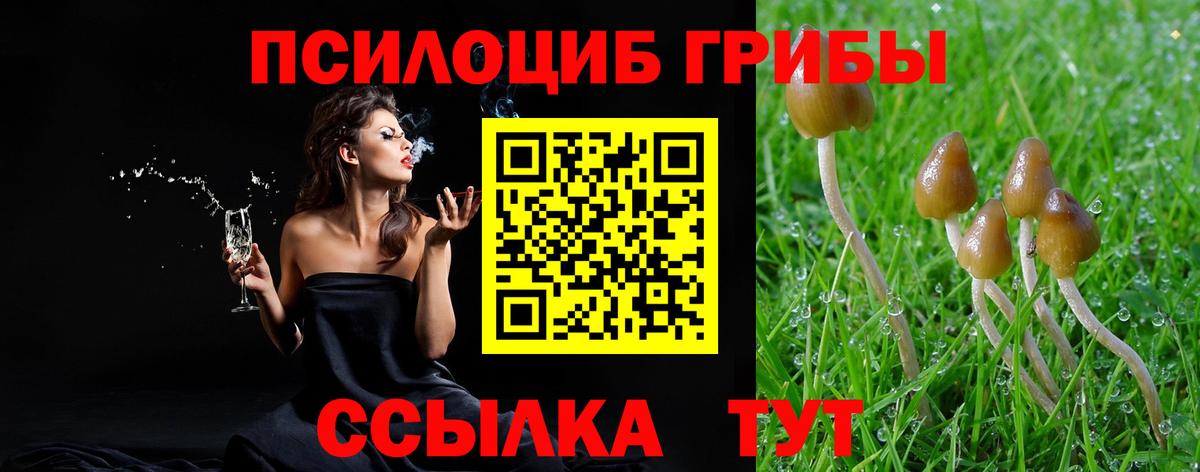 Кулебаки  наркота  Вход с VPN  Галлюциногенные грибы мицелий 